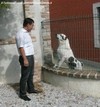 Altre foto 1